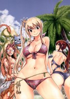 Fairy_Tail_______564b306dda8c9.jpg